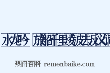 水龙吟·放船千里凌波去反义词是什么意思的图片